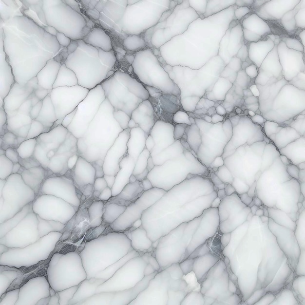 黒と白のパターンを持つ白い大理石の床