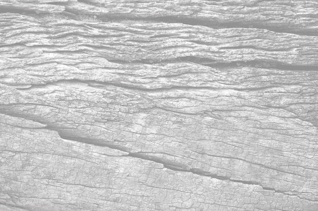 White marble wallpaper with a rough texture