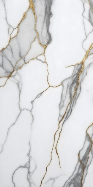 white marble with gold veins