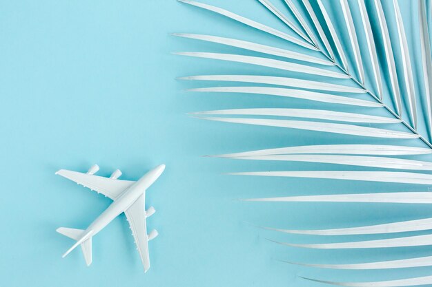 White model plane airplane and palm leaf on blue background Top view flat lay