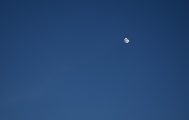 white moon in the blue sky