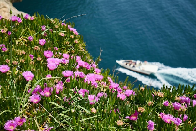 Foto barca a motore bianca sul corpo d'acqua accanto al campo di fiori viola foto