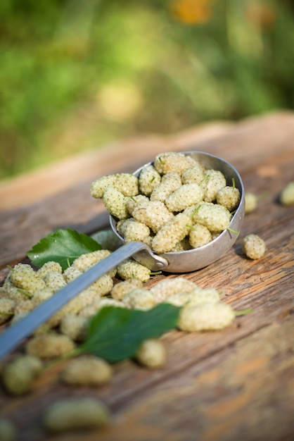 white mulberries