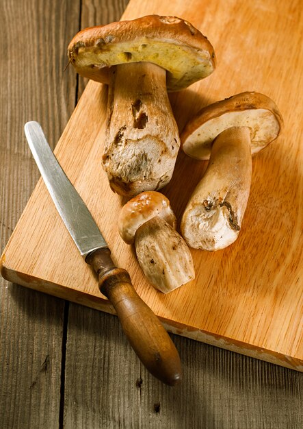 White Mushroom (cep)