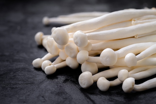 White mushroom closed up on cap and stalk