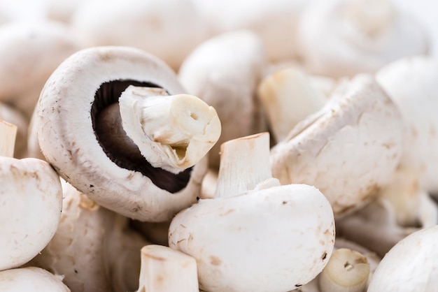 White Mushrooms background image