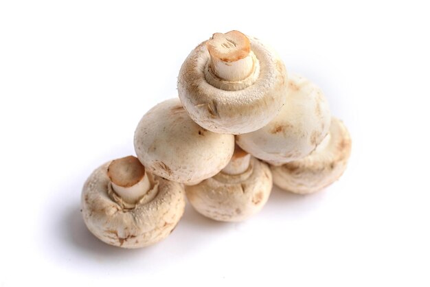 White mushrooms on white background