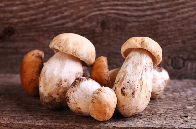 White mushrooms on a wooden background