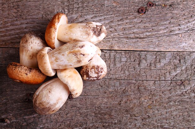 White mushrooms on a wooden background