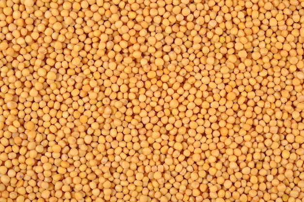 White mustard seeds background