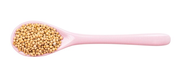 White mustard seeds in ceramic spoon isolated