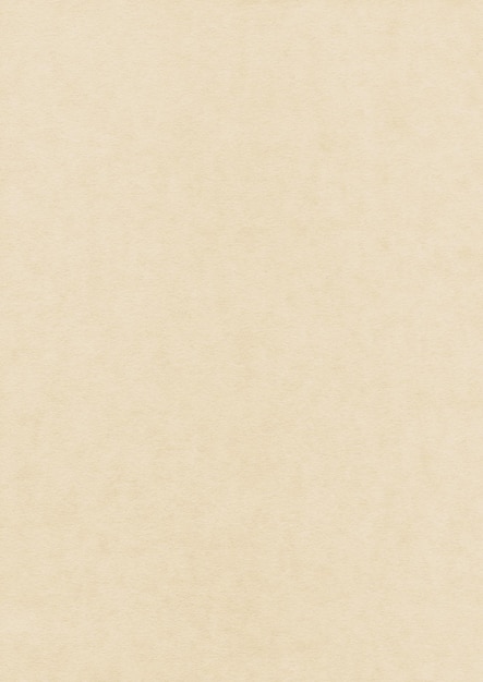 Photo white natural paper texture. clean background wallpaper