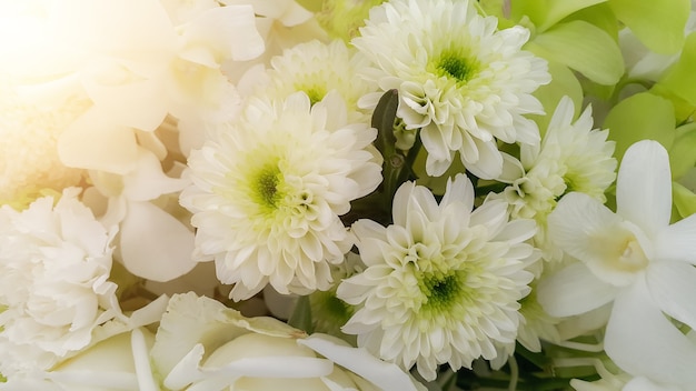 White nature flowers background