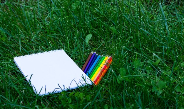 White notebook and colored pencils on grass. Space for text, top view