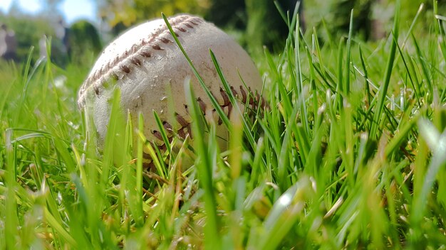 Photo white old baseball ball on fresh green grass with copy space closeup. american sports baseball game.