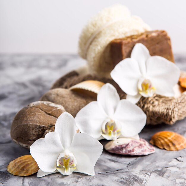 White orchid flowers next to sea stones and shells on a gray background