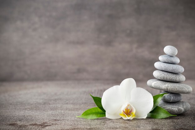 White orchid and spa stones on the grey.