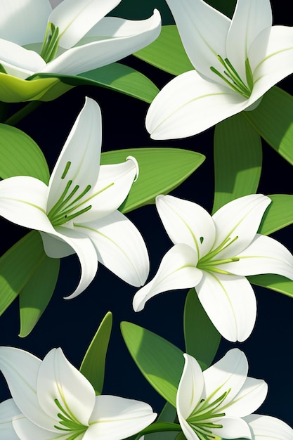Photo white orchids hd photography flowers wallpaper background illustration design material