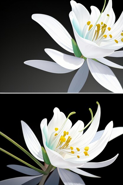 White orchids HD photography flowers wallpaper background illustration design material