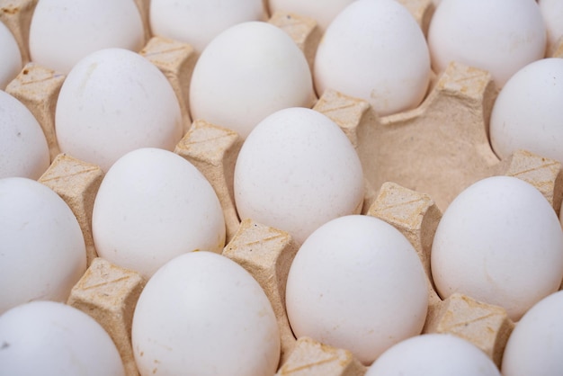 White organic eggs in a cardboard.