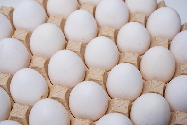 White organic eggs in a cardboard.