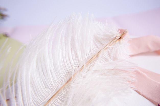 Photo white ostrich feather on pink background. mother's day greeting card. valentine's day. copy space.