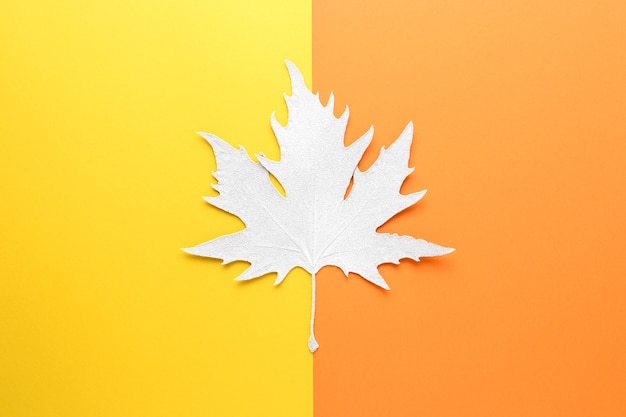 White painted autumn leaf isolated on colorful background