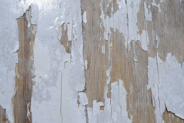 white painted wood surface. white paint is peeled off by the sun's heat and heavy rain. white wooden