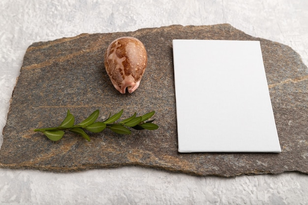 white paper business card, with natural stone, seashell and boxwood branch 