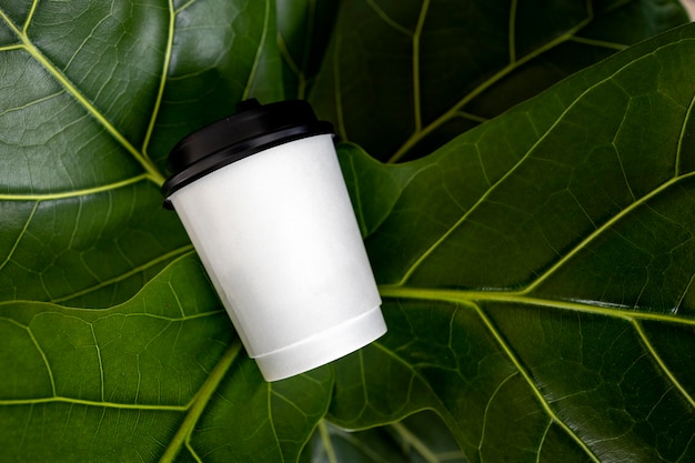 Tazza di caffè di carta bianca nella splendida natura