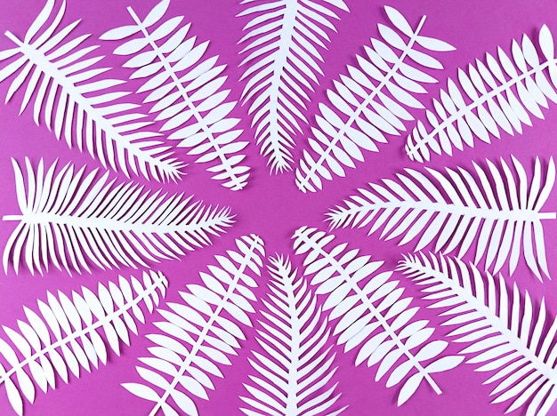 White paper cut leaves on a pink surface.