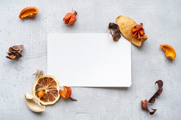 White paper and dried plants placed on a concrete plane