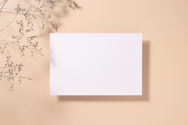 Photo white paper empty blank dried grass decoration on beige background white square invitation card mockup on beige table flat lay top view copy space mockup