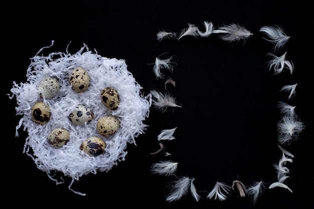 White paper nests with quail easter eggs and chicken feathers frame on a black background Symbol of celebration of a religious holiday among Catholics Orthodox Christians and Protestants