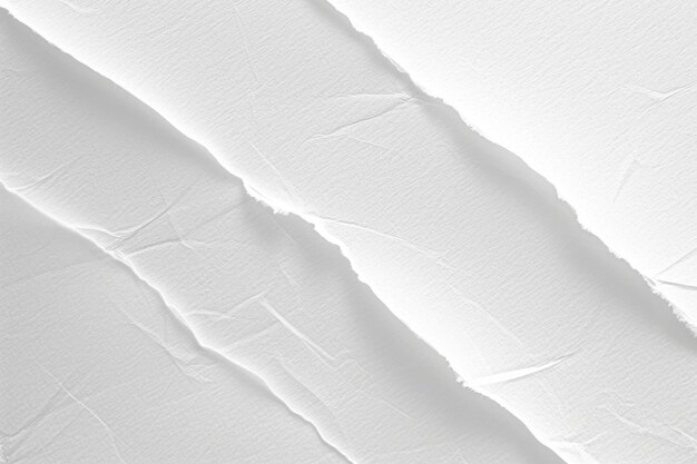 White paper texture background for designs and packaging