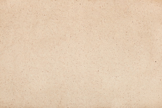 White paper texture background.