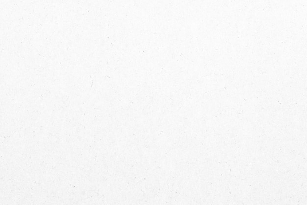white paper texture background