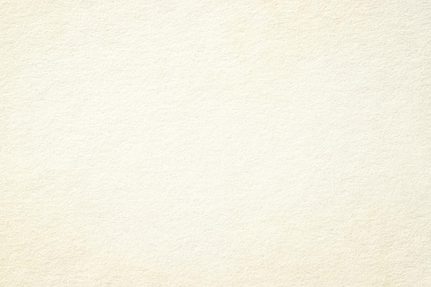 White paper texture blank cardboard surface background