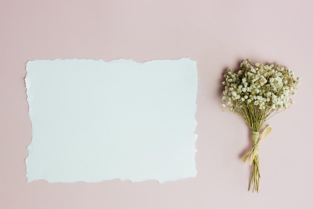 Photo white paper with natural flower over the pink background