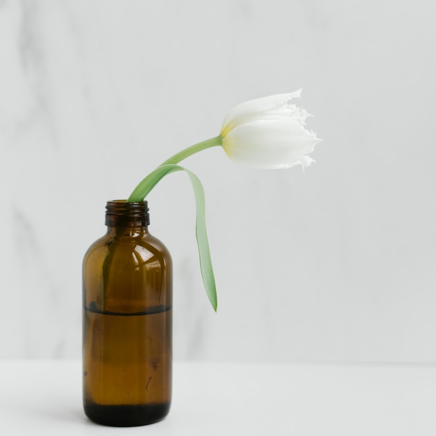 Photo white parrot tulip in a brown glass bottle