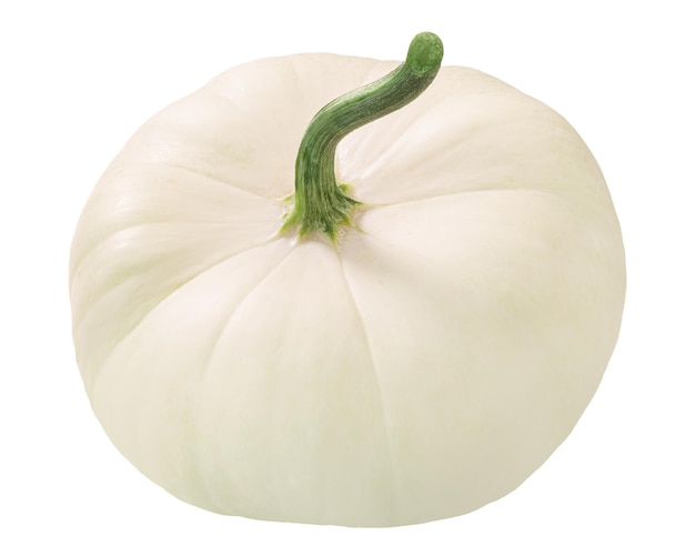 Photo white pattypan squash cucurbita pepo fruit isolated