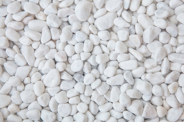 Photo white pebbles texture or background. white gravel background.