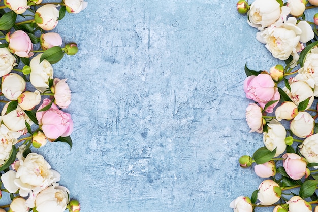 White peonies border on blue frame background