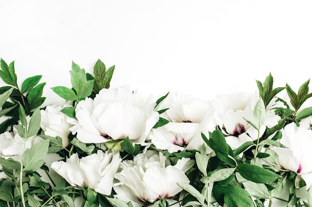 White peonies bouquet on white surface