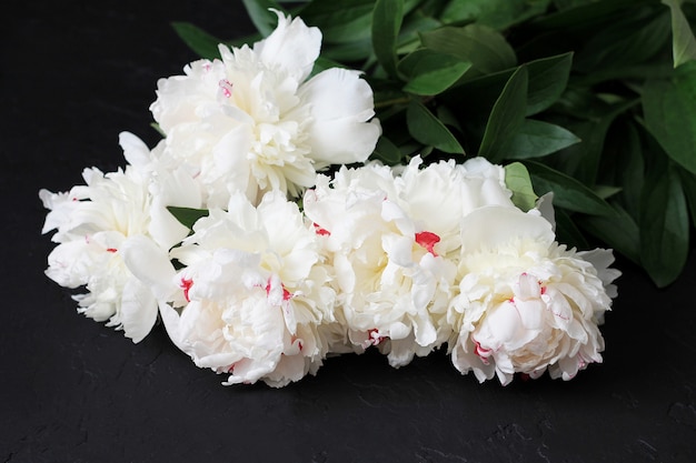 White peonies on dark