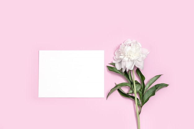 White peony and blank sheet for text