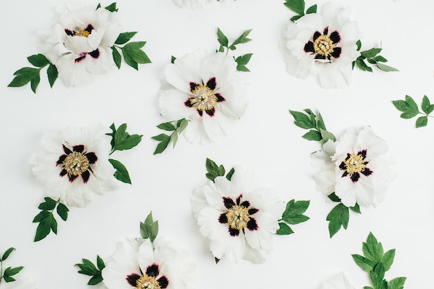 White peony flowers pattern