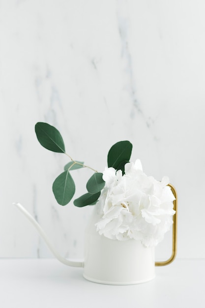 White peony in a white watering can