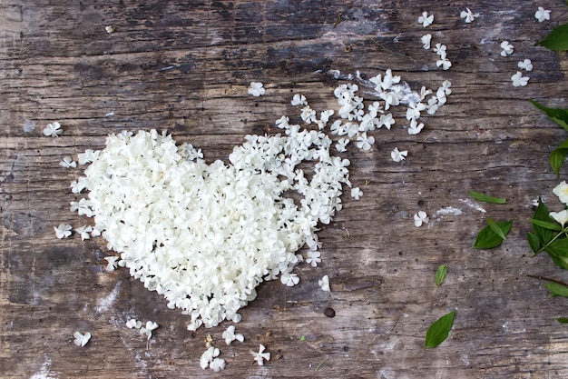 White petal flowers in form heart, mockup on rustic wood background for creative work design