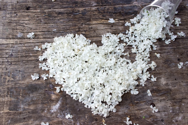 White petals in form heart spilling from a glass on wooden background copy space for text